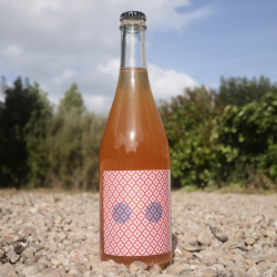 cidre au sureau | cidre dots