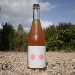 cidre avec morceau pomme - cidre dots