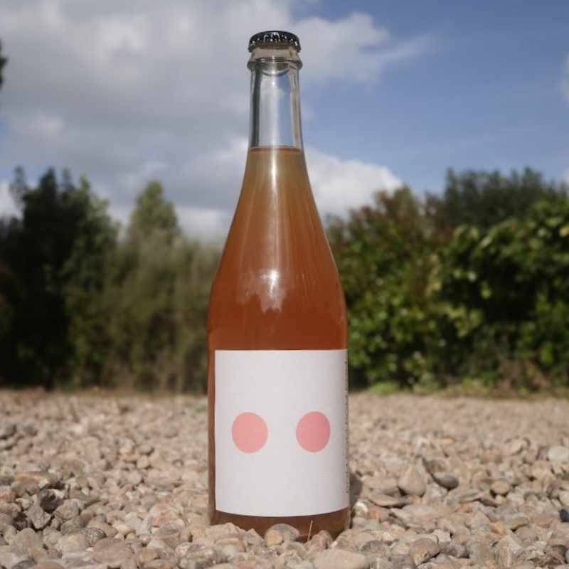 cidre avec morceau pomme - cidre dots