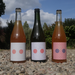 Pack Découverte | Cidre dots.