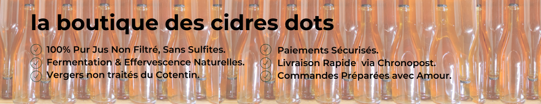 banniere boutique dots